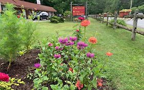 Pine Crest Motel & Cabins